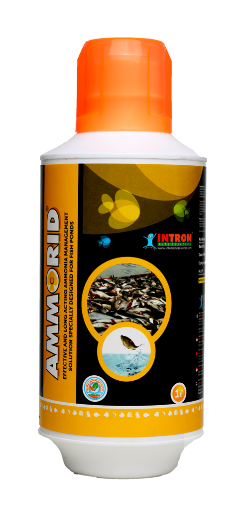AMMORID®
