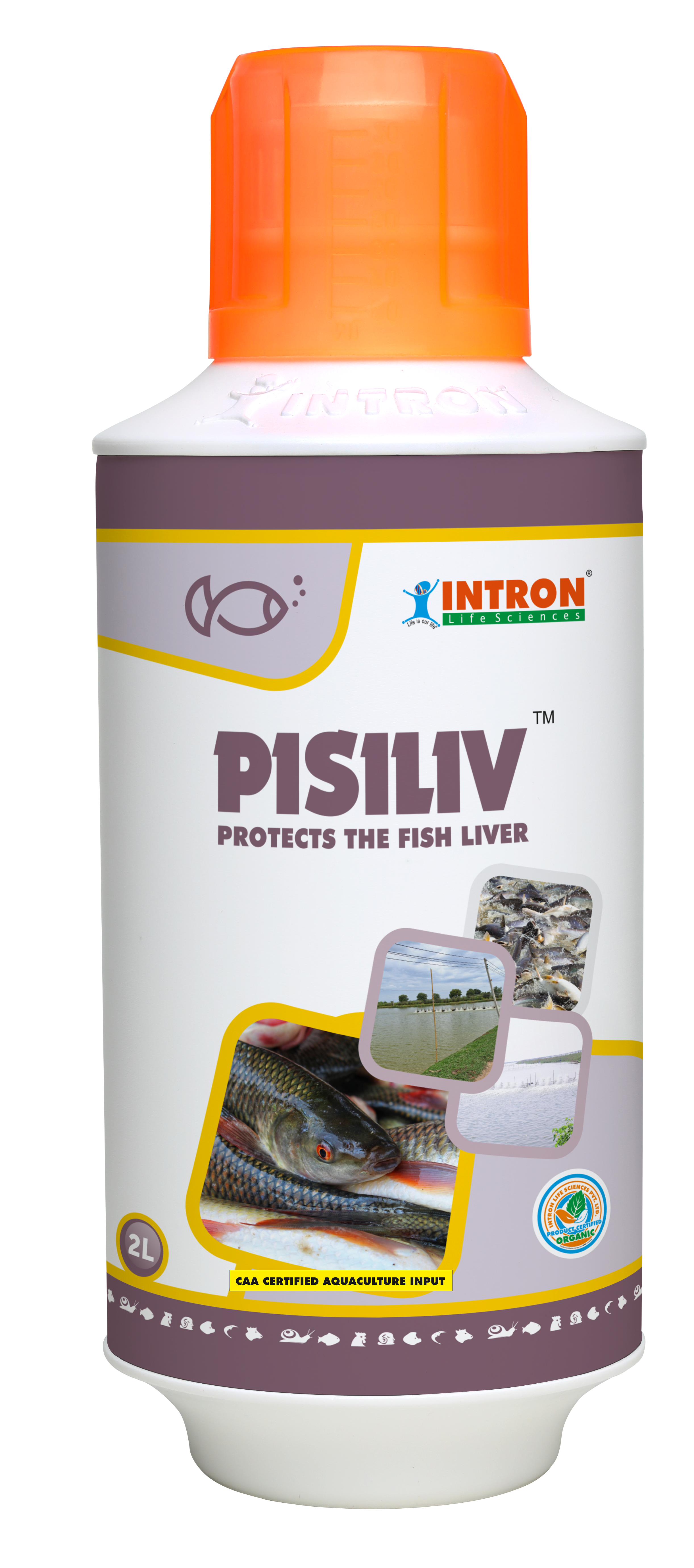 PISILIV™