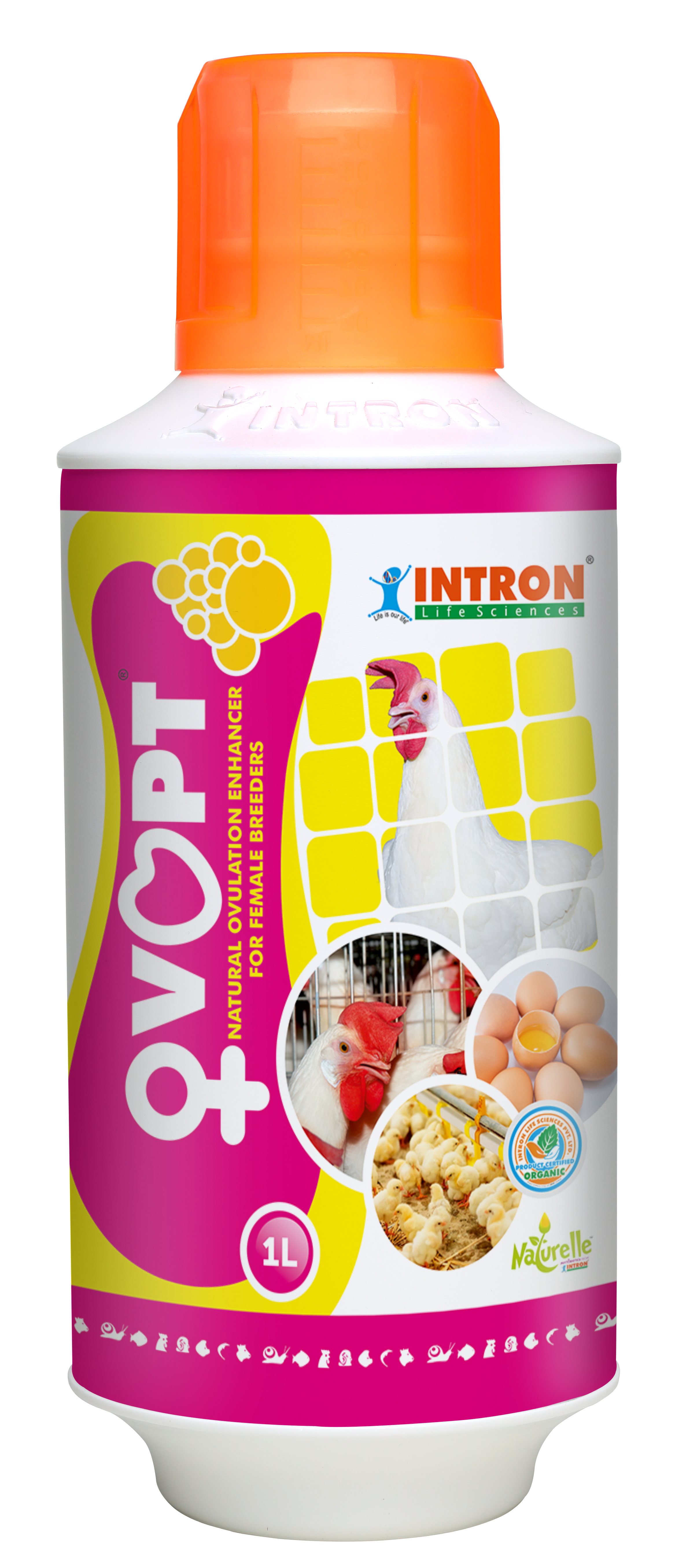 OVOPT®