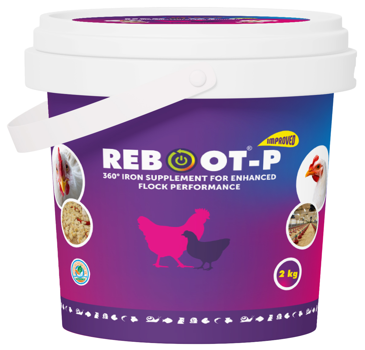 REBOOT®-P