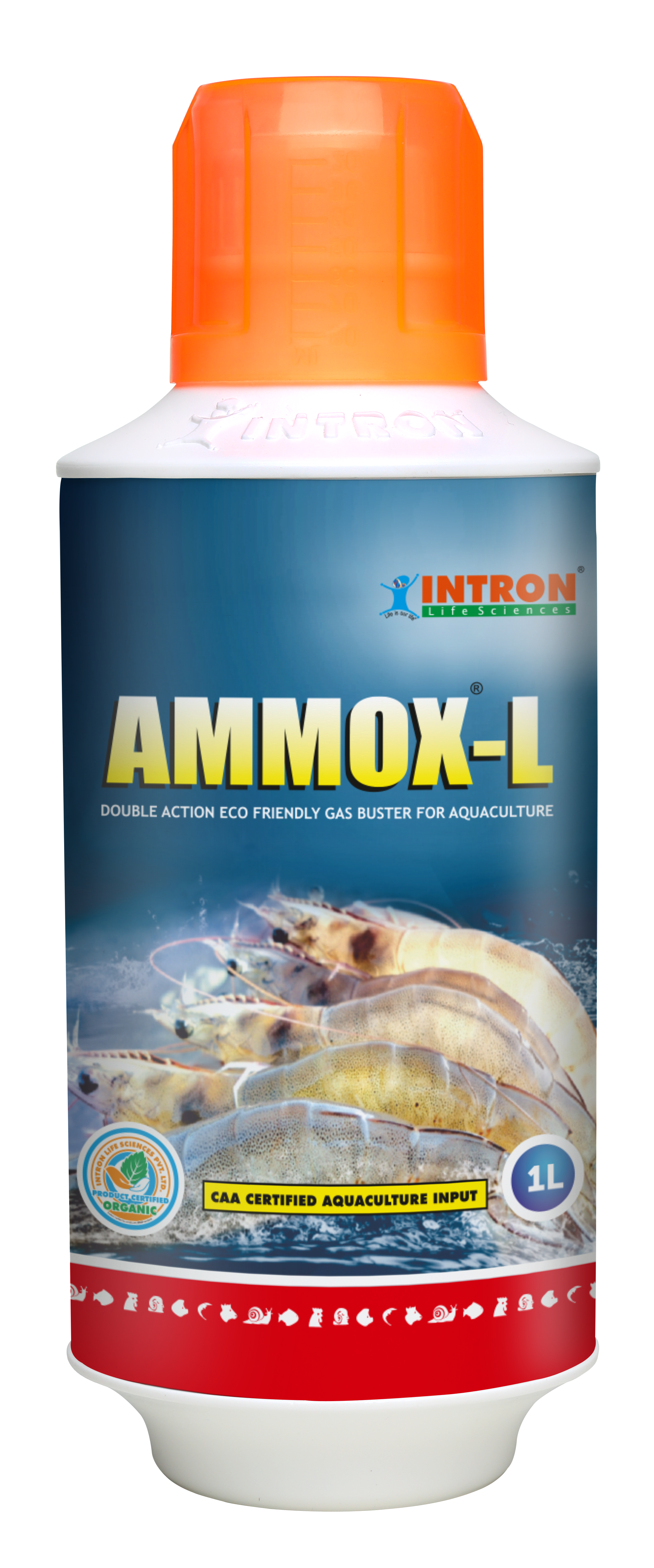 AMMOX®-L