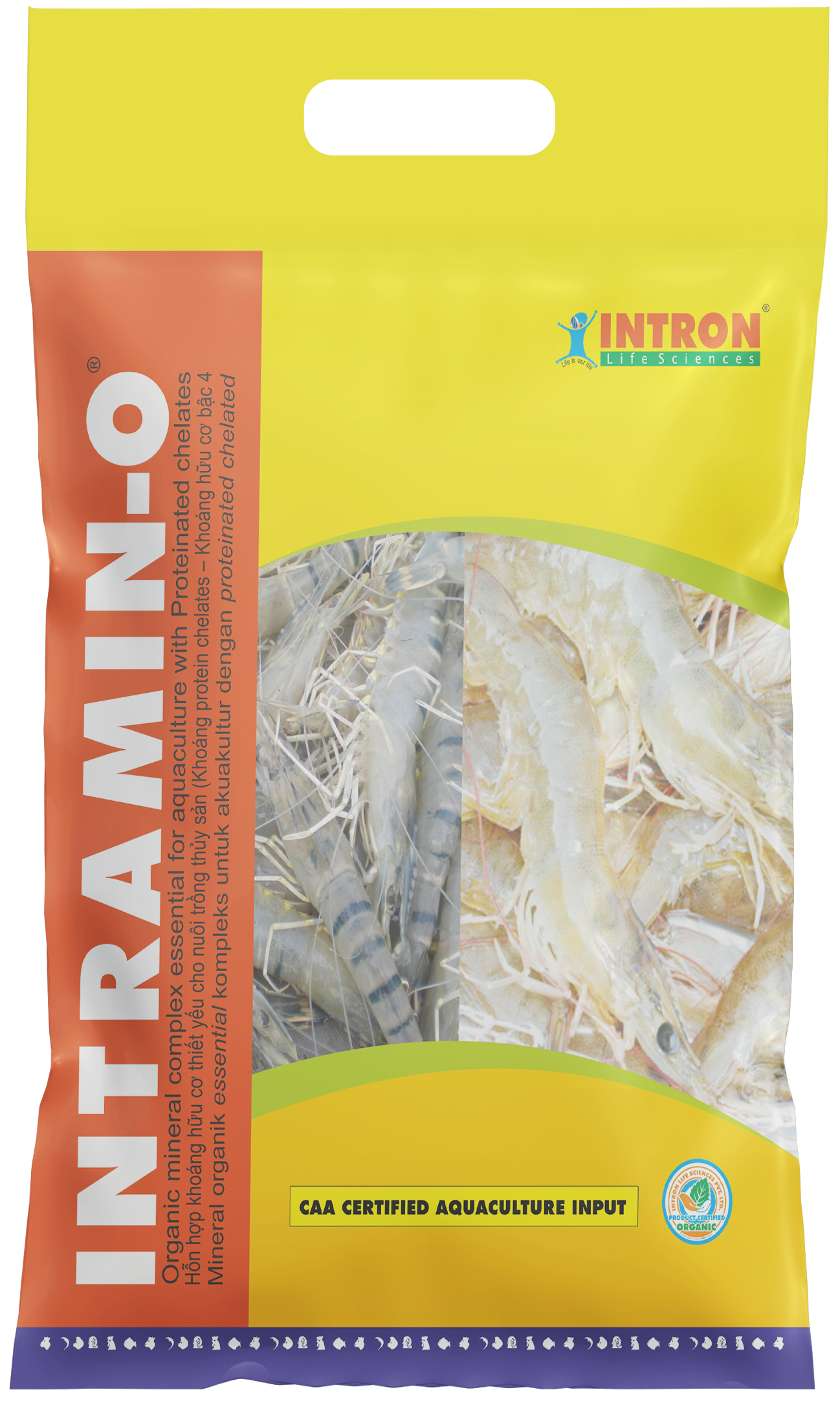 INTRAMIN-O®