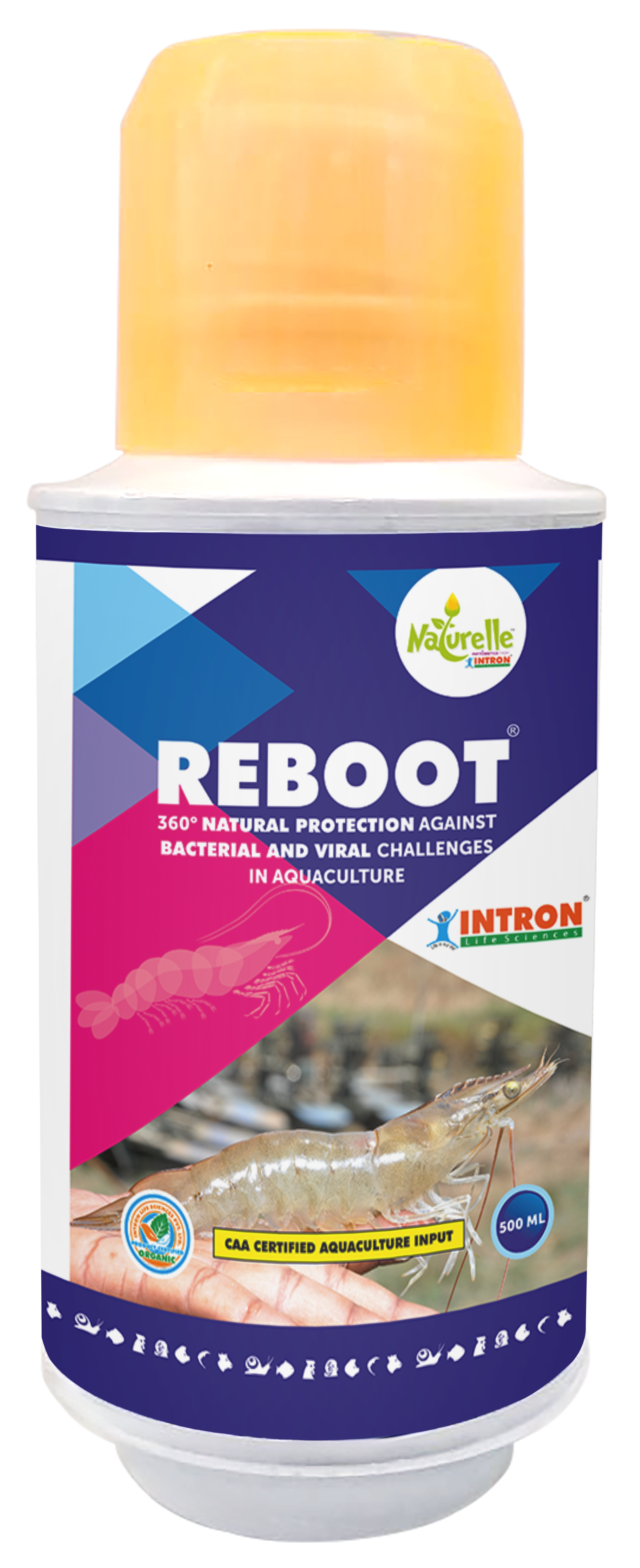 REBOOT®