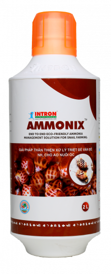 INTRON-AMMONIX®