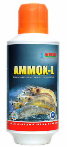 AMMOX-L