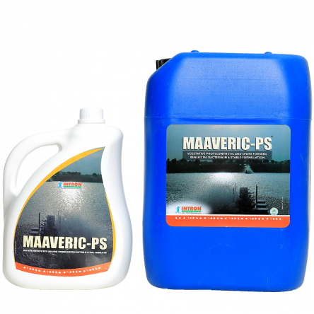 MAAVERIC PS