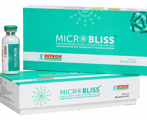 MICROBLISS