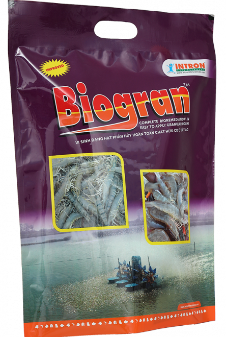 biogran